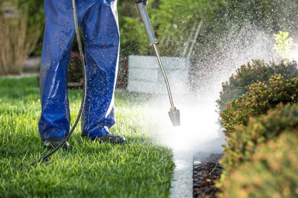 Cost of Curb Cleaning in Camarillo