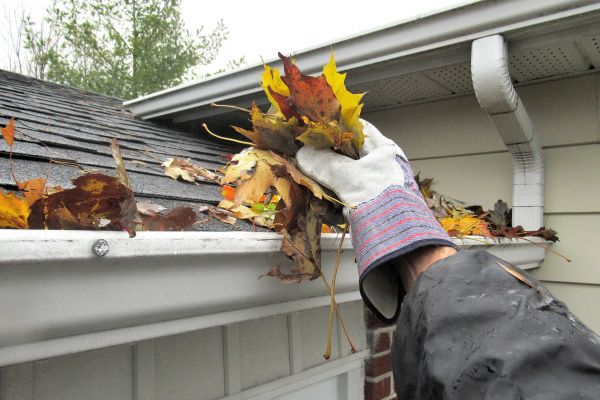 Cost of Eaves Cleaning in Camarillo