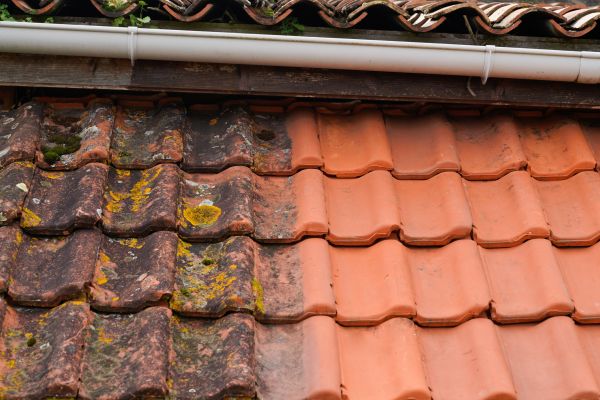 Industrial Roof Cleaning in Camarillo