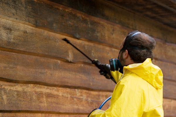 Cost of Cedar Siding Washing in Camarillo